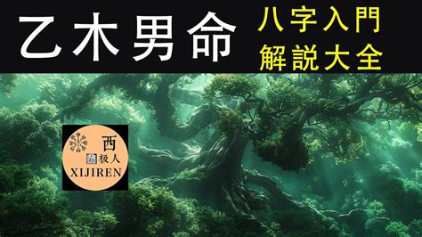 壬水乙木|八十天干詳解——乙木